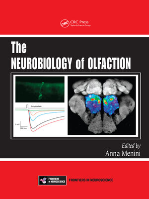 cover image of The Neurobiology of Olfaction